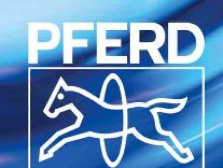 PFERD 馬圈打磨工具